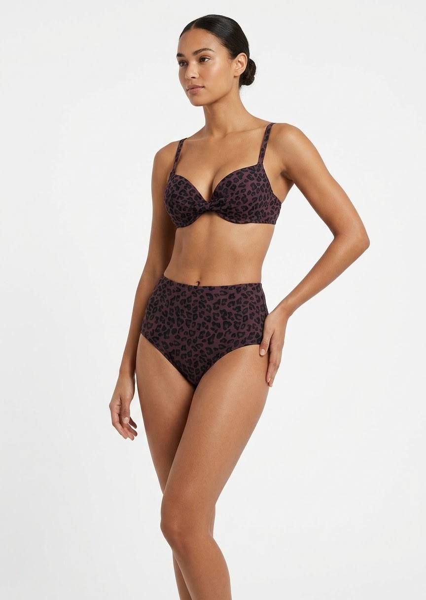TU BRAND Leopard Print High-Waisted Bikini Set