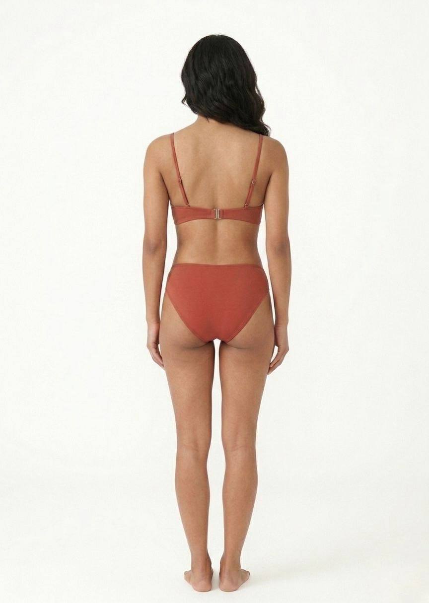SHEIN Rust High-Waisted Bikini Set