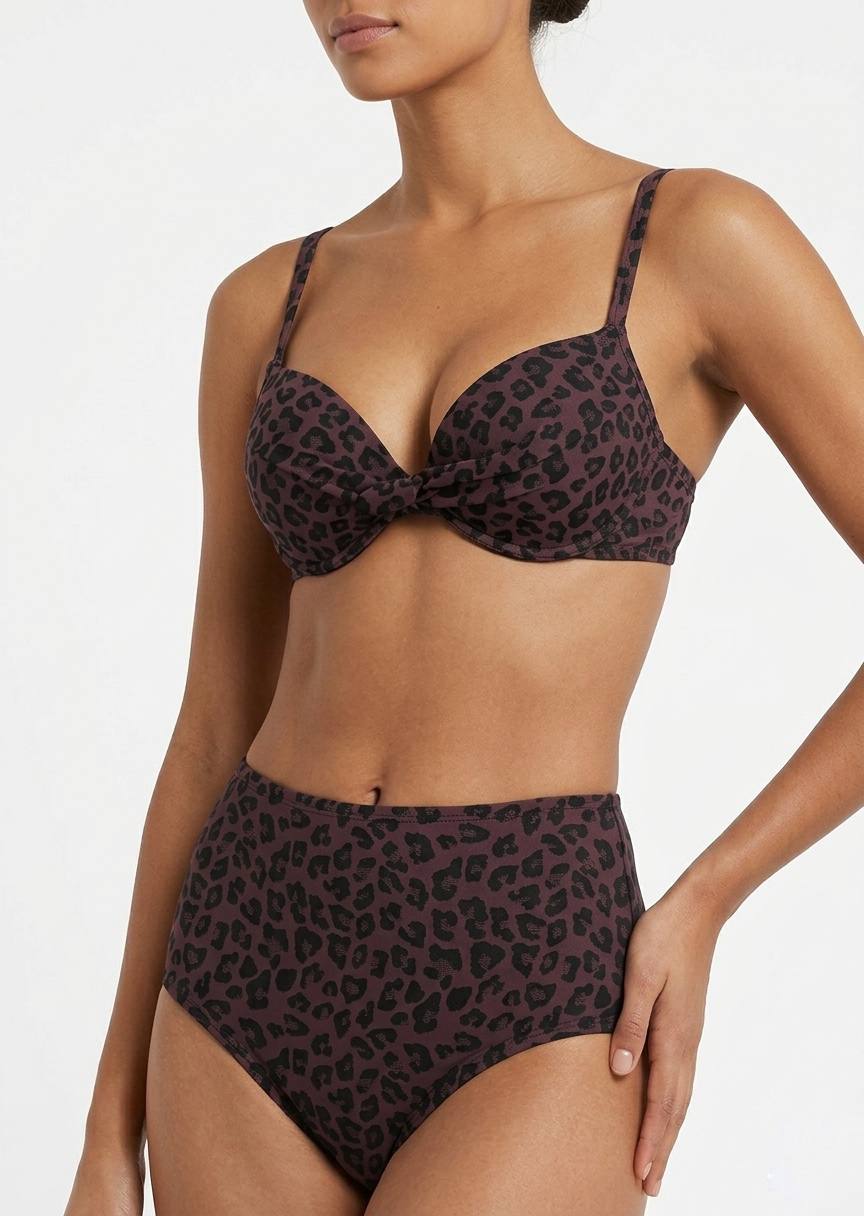 TU BRAND Leopard Print High-Waisted Bikini Set
